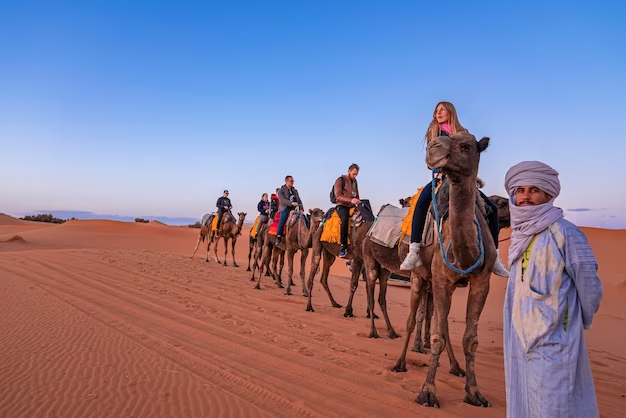 desert safari tour in Abu Dhabi